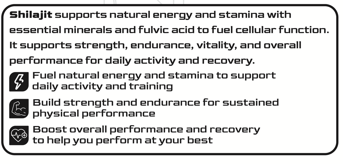 Shilajit 1000 iForce Nutrition