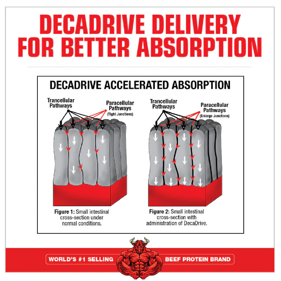 Creatina Decanate MuscleMeds
