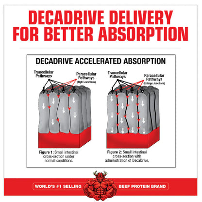 Creatina Decanate MuscleMeds